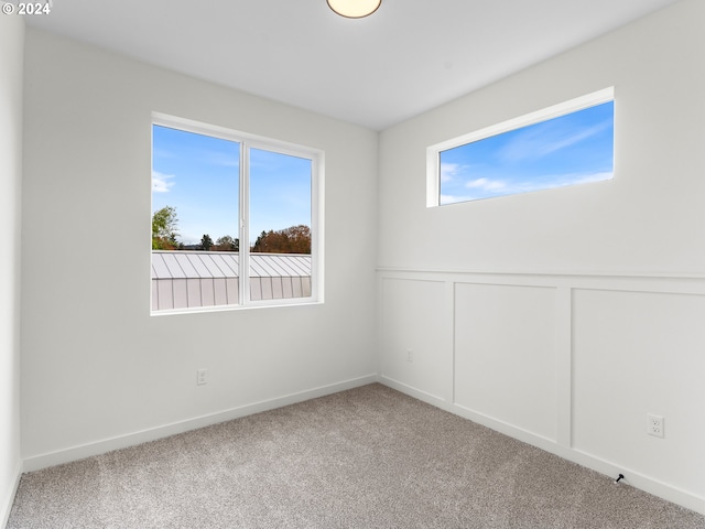 carpeted spare room with plenty of natural light