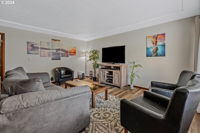 living room with light wood-type flooring