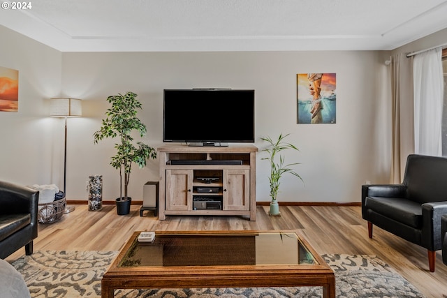 living room featuring wood-type flooring