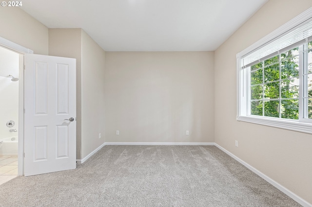 spare room featuring light carpet