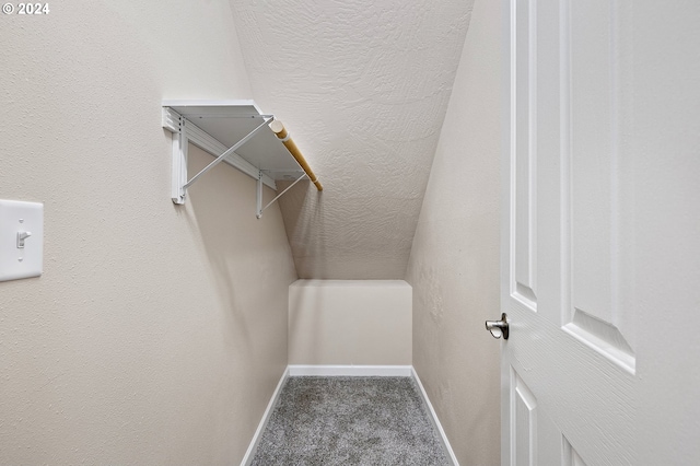 walk in closet with carpet floors