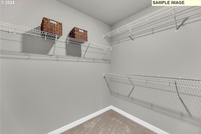 spacious closet with carpet floors