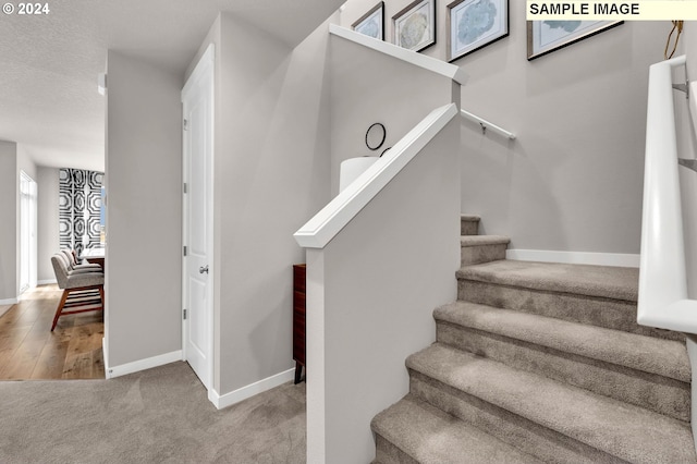 stairway with carpet floors