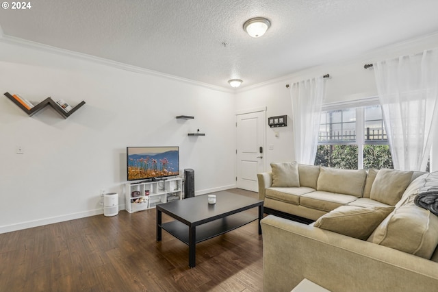 living room featuring hardwood / wood-style floors, a textured ceiling, and ornamental molding