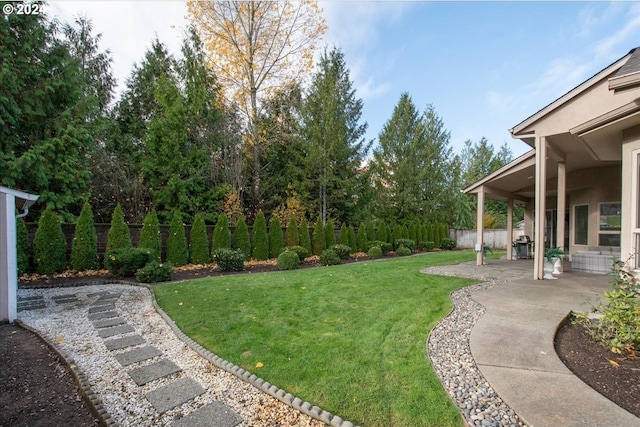 view of yard featuring a patio