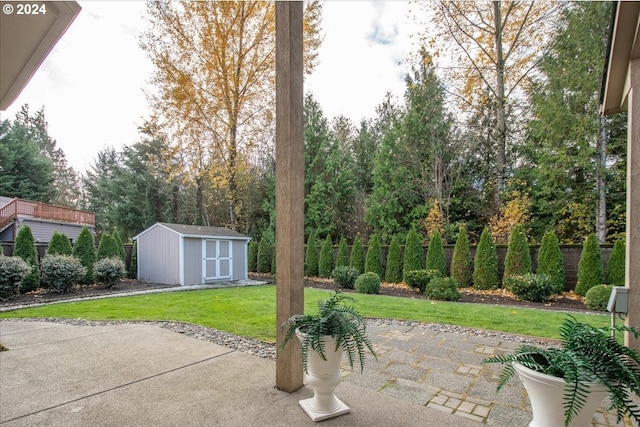 view of patio / terrace featuring a shed