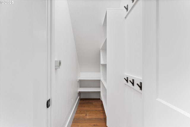 spacious closet with dark wood-type flooring