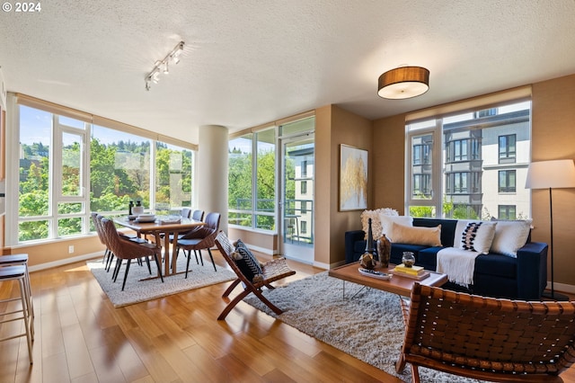 sunroom / solarium with a healthy amount of sunlight and rail lighting