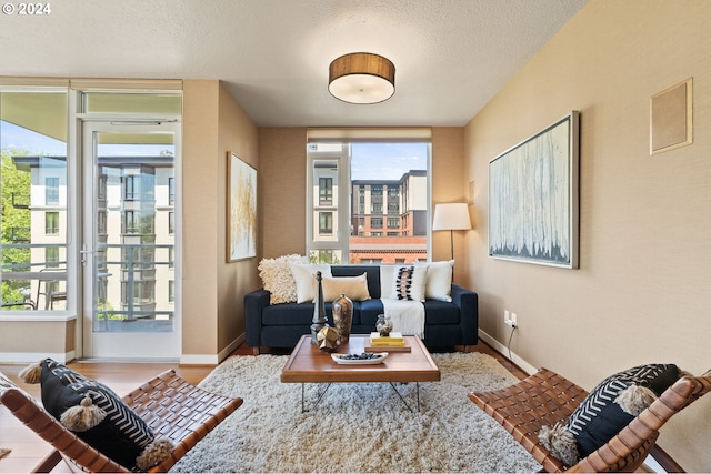 living room featuring hardwood / wood-style floors and a textured ceiling