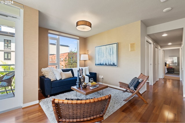 living room featuring hardwood / wood-style flooring