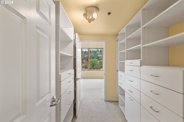 walk in closet featuring light carpet