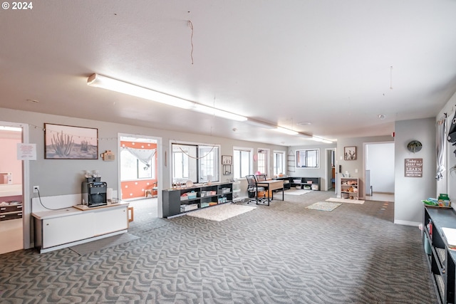 miscellaneous room featuring a healthy amount of sunlight and carpet