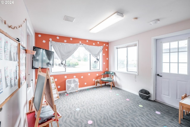 misc room with a wealth of natural light and carpet flooring