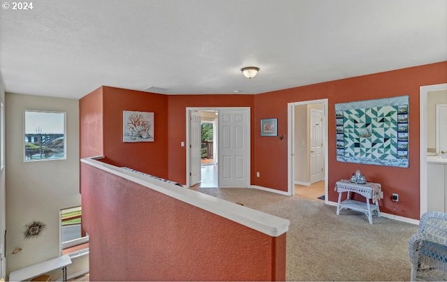 living room with a wealth of natural light and carpet