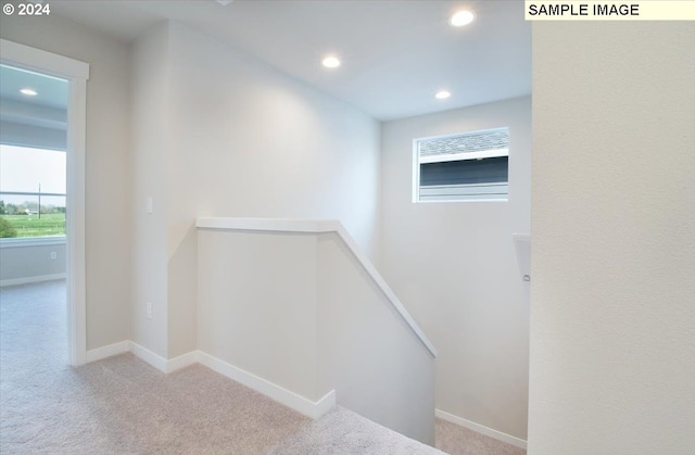 stairway with carpet floors