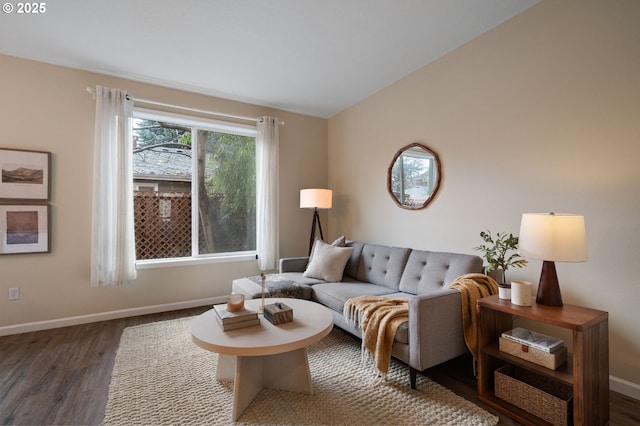 living room featuring dark wood-type flooring