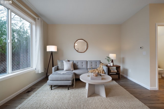 living room with wood-type flooring and a wealth of natural light