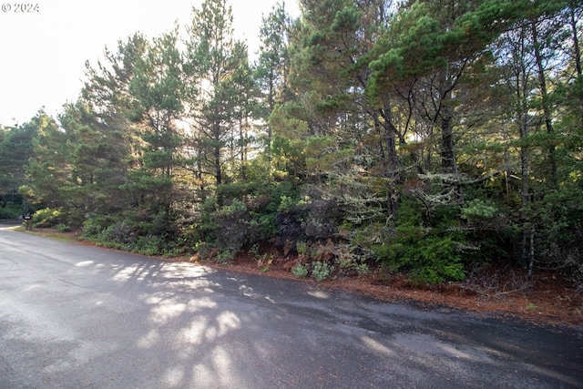 Windleaf Way Unit Tl4100, Florence, OR 97439