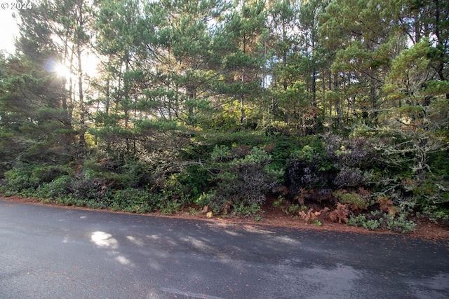 Windleaf Way Unit Tl4100, Florence, OR 97439