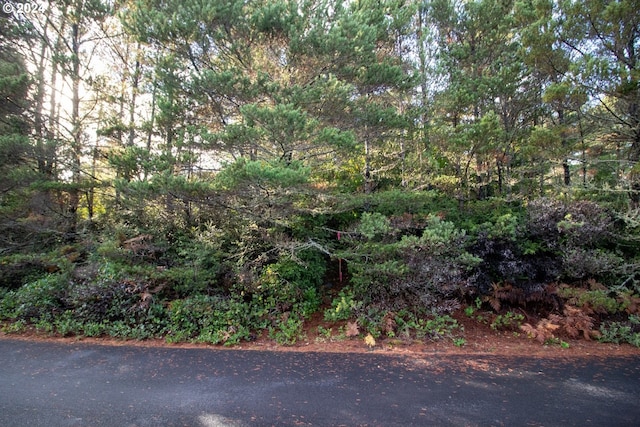 Windleaf Way Unit Tl4100, Florence, OR 97439