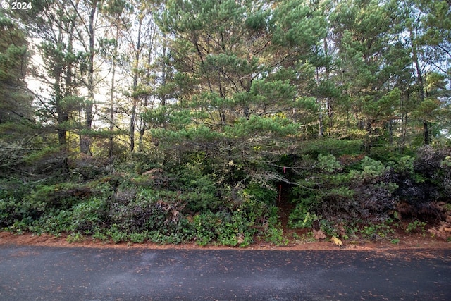 Windleaf Way Unit Tl4100, Florence, OR 97439