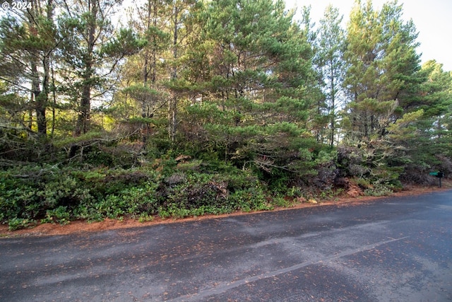 Windleaf Way Unit Tl4100, Florence, OR 97439