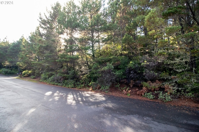 Windleaf Way Unit Tl4100, Florence, OR 97439