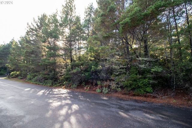 Windleaf Way Unit Tl4100, Florence, OR 97439