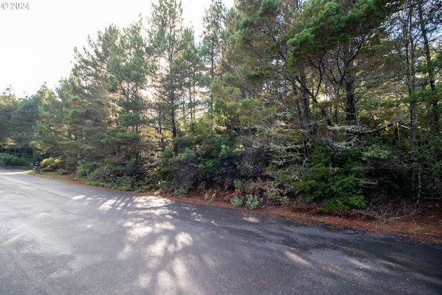 Windleaf Way Unit Tl4100, Florence, OR 97439
