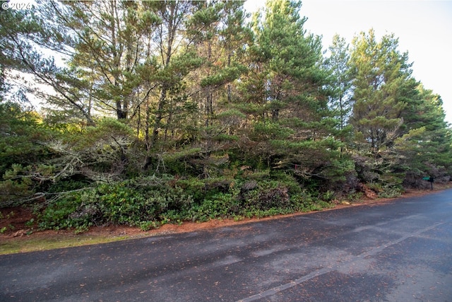 Windleaf Way Unit Tl4100, Florence, OR 97439