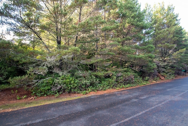 Windleaf Way Unit Tl4100, Florence, OR 97439