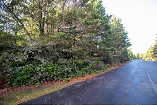 Windleaf Way Unit Tl4100, Florence, OR 97439