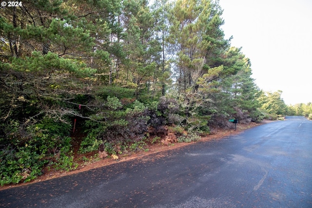 Windleaf Way Unit Tl4100, Florence, OR 97439
