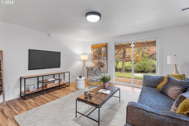 living room featuring wood-type flooring