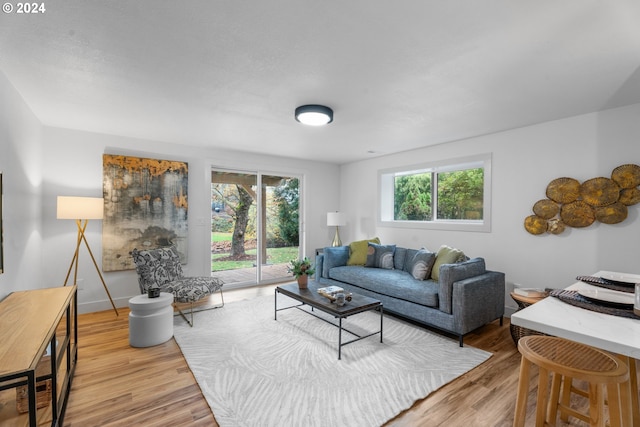 living room featuring light hardwood / wood-style floors