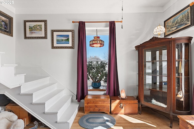 entryway featuring stairway and wood finished floors