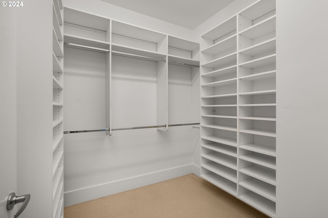 walk in closet with carpet flooring