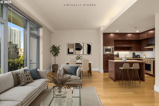 living room featuring light hardwood / wood-style floors