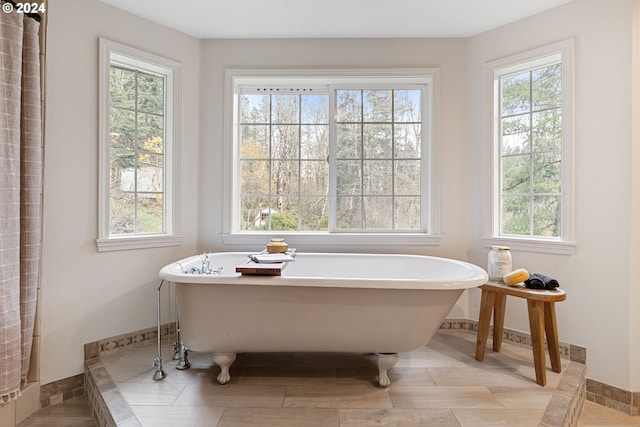 bathroom featuring a wealth of natural light and a washtub