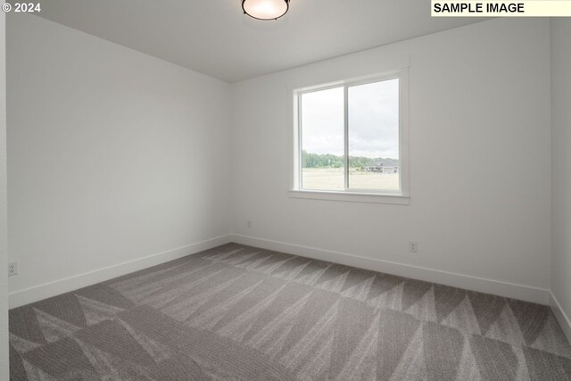 empty room featuring carpet flooring