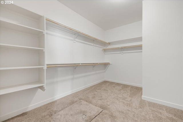 spacious closet with light carpet