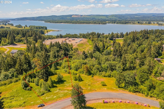 aerial view with a water and mountain view