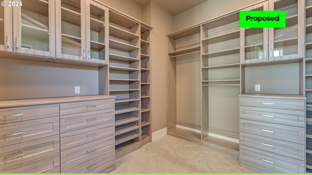 spacious closet featuring light carpet