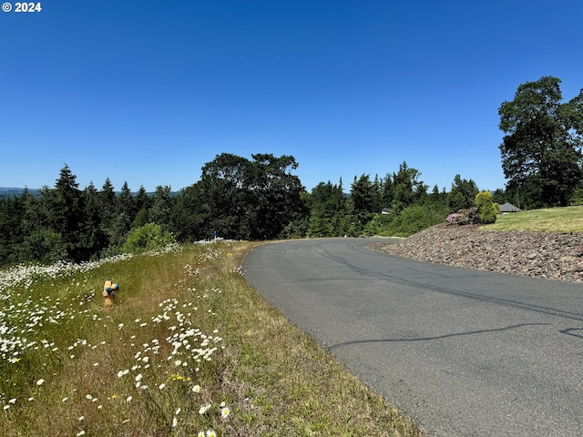 view of road