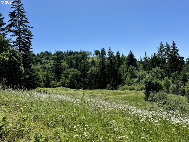 view of landscape