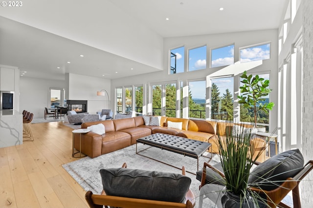 living room featuring high vaulted ceiling and light wood-type flooring