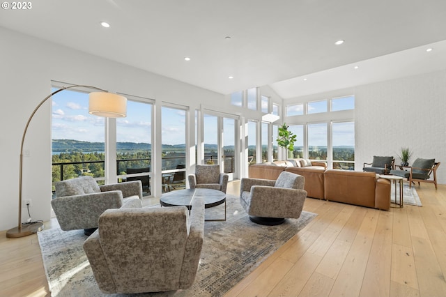 living room with light hardwood / wood-style floors and plenty of natural light