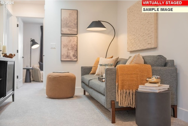 sitting room featuring carpet floors