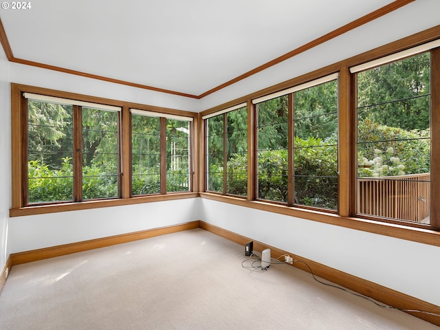 unfurnished sunroom featuring a healthy amount of sunlight