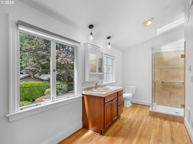 bathroom featuring plenty of natural light, toilet, vanity, and wood-type flooring